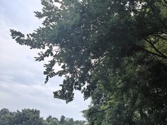 -青龙山国家森林公园