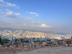 -长虫山生态公园风景林
