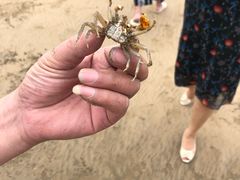 -东海半边山旅游度假区