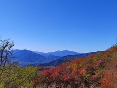 -北京西山国家森林公园