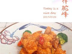 -乔家满族八大碗(流水沟店)