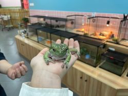 -Moni星球萌宠·小马宝莉·灵蛇·高端高阶全萌宠互动体验俱乐部(红豆国际广场店)