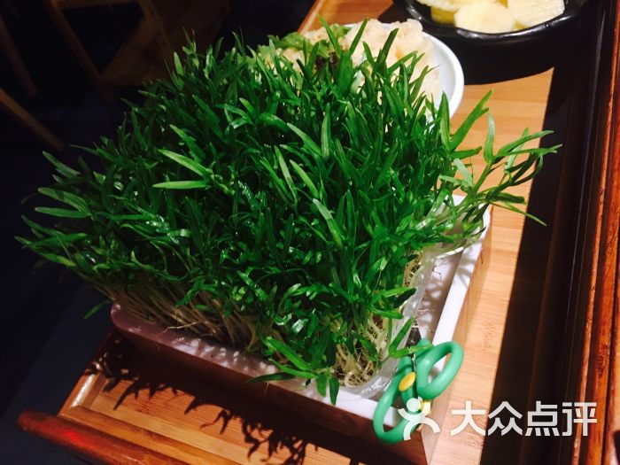 左庭右院鲜牛肉火锅(日月光店)泰国空心菜图片 - 第47张