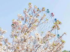 -观澜湖生态运动公社