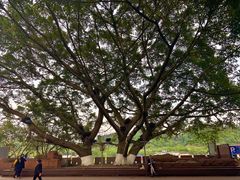 -胖大娘面馆(较场坝街店)