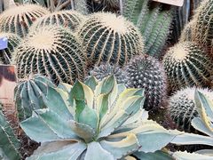 -国家植物园南园