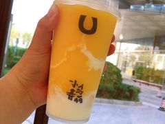 芒果卡士-春丽小马(济南恒隆广场店)