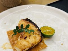 -鮨政·Omakase(港汇恒隆广场店)