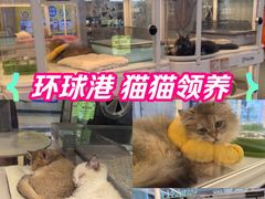-江南环球港