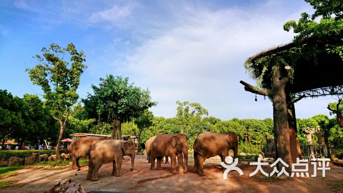 上海野生動物園圖片 - 第1094張