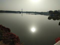 -大兴滨河森林公园