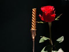 -小火花·干式熟成牛排馆Spark SteakHouse(剑桥郡店)