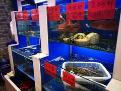 水产区-小老板海鲜酒家(董家渡店)