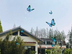 -前小桔亲子创意农场·草莓采摘·露营烧烤