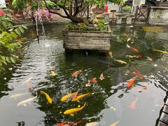 -猪肉婆私房菜(容桂总店)