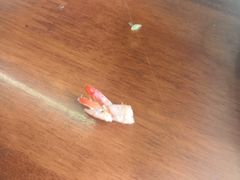 -东北四季饺子王(华山路店)