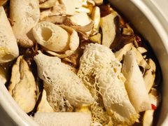 -菌彩云南野生菌火锅(呈贡七彩云南第壹城店)