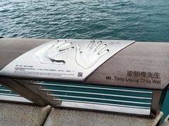 -星光大道