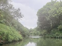 -西溪国家湿地公园