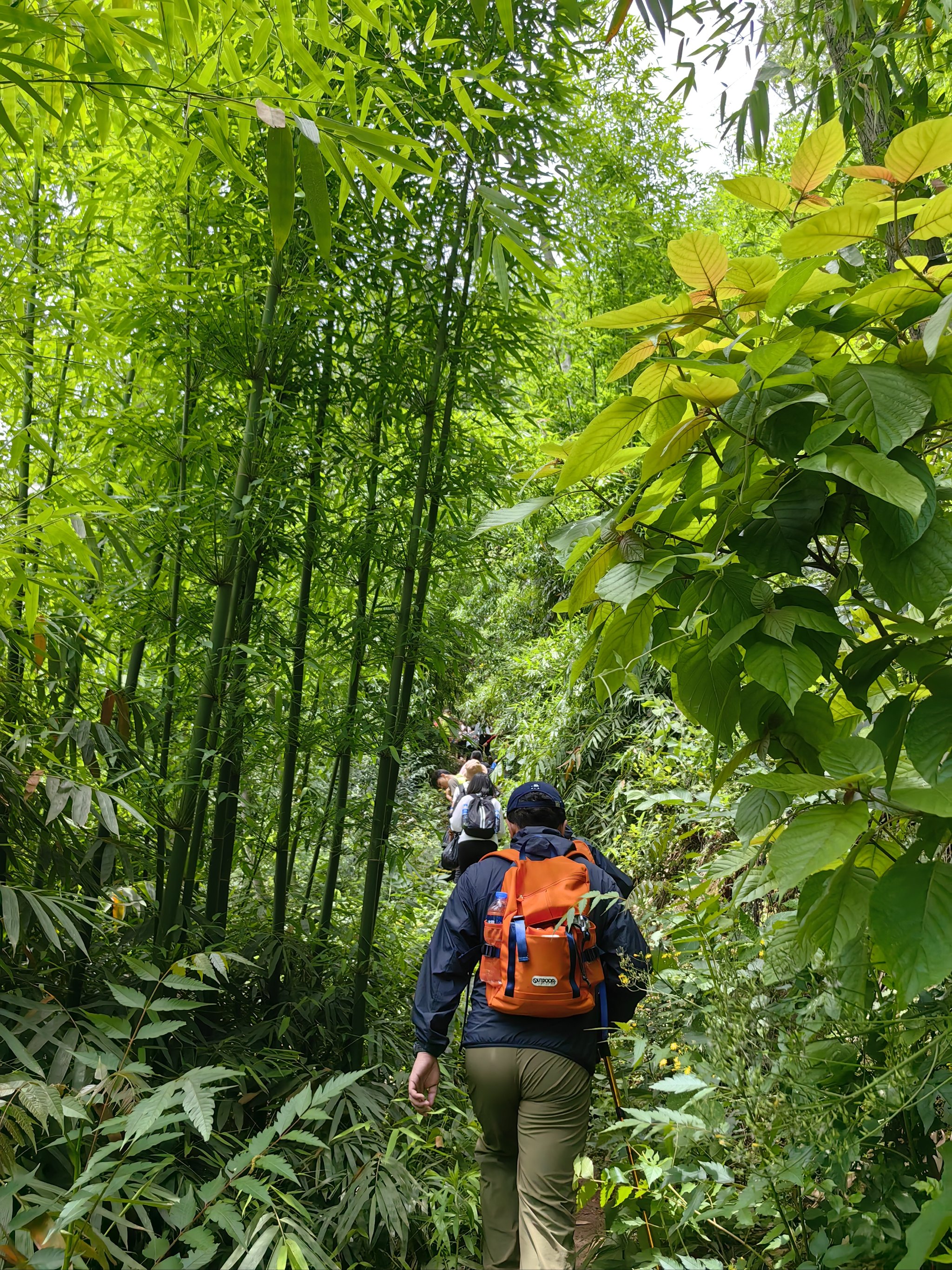 崇州无根山全景资料图片