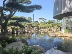 -罗红摄影艺术馆