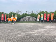 -上海海湾国家森林公园