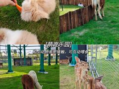 -云梦方舟欢乐水世界