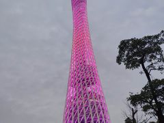 景点-珠江夜游广州塔·中大码头