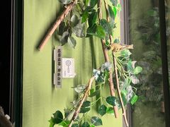 -天津自然博物馆
