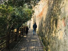 -紫金山山顶公园