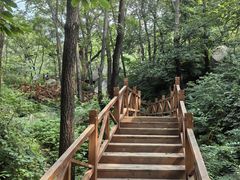 -大岭沟猕猴桃谷风景区