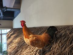 -洞庭土菜馆(天河北总店)
