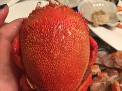 -杭州国际会议中心洲际酒店-德国啤酒屋(砂之船国际生活广场店)