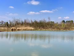 -白鹭湾湿地公园