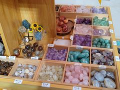 -安徽省地质博物馆