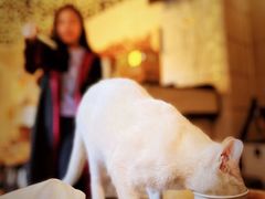 -逃脱反斗城沉浸剧情密室(北京路店)