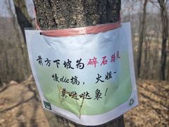 -青龙山国家森林公园