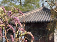 -南山风景名胜区