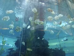 -鸿通城购物中心