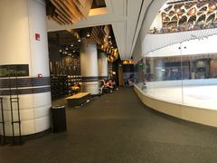 -TheRink大零溜冰场(IFS国金中心店)