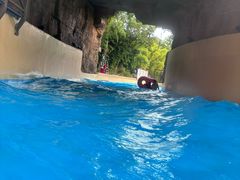 -上海玛雅海滩水公园