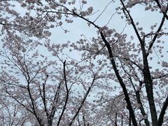 -龙美术馆(西岸馆)