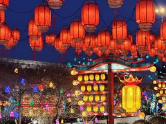 -长春世界雕塑园冰雪艺术天地