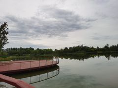 -东郊湿地公园