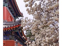 -北京艺术博物馆(万寿寺)