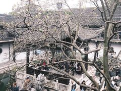 -何园