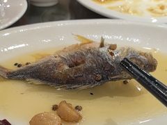 -长平肥姐白粥·海鲜打冷