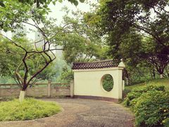 -重庆彩云湖湿地公园