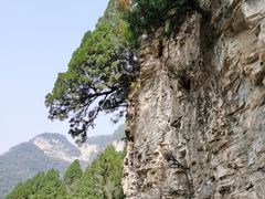 -北京上方山国家森林公园