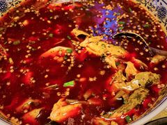 老坛酸菜黄辣丁-青城甲(青城山店)